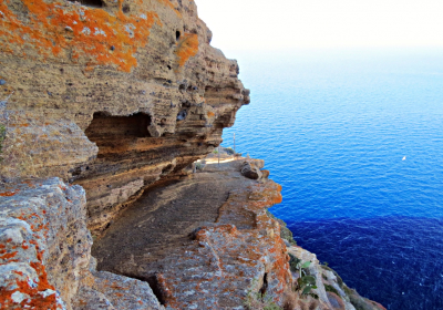 Agenzia/operatore Turistico Blue Diving Ustica